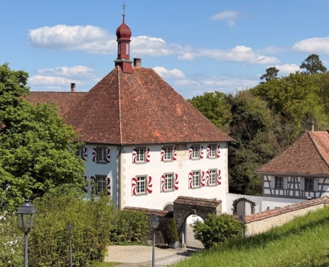 Schloss Freudenfels, Eschenz